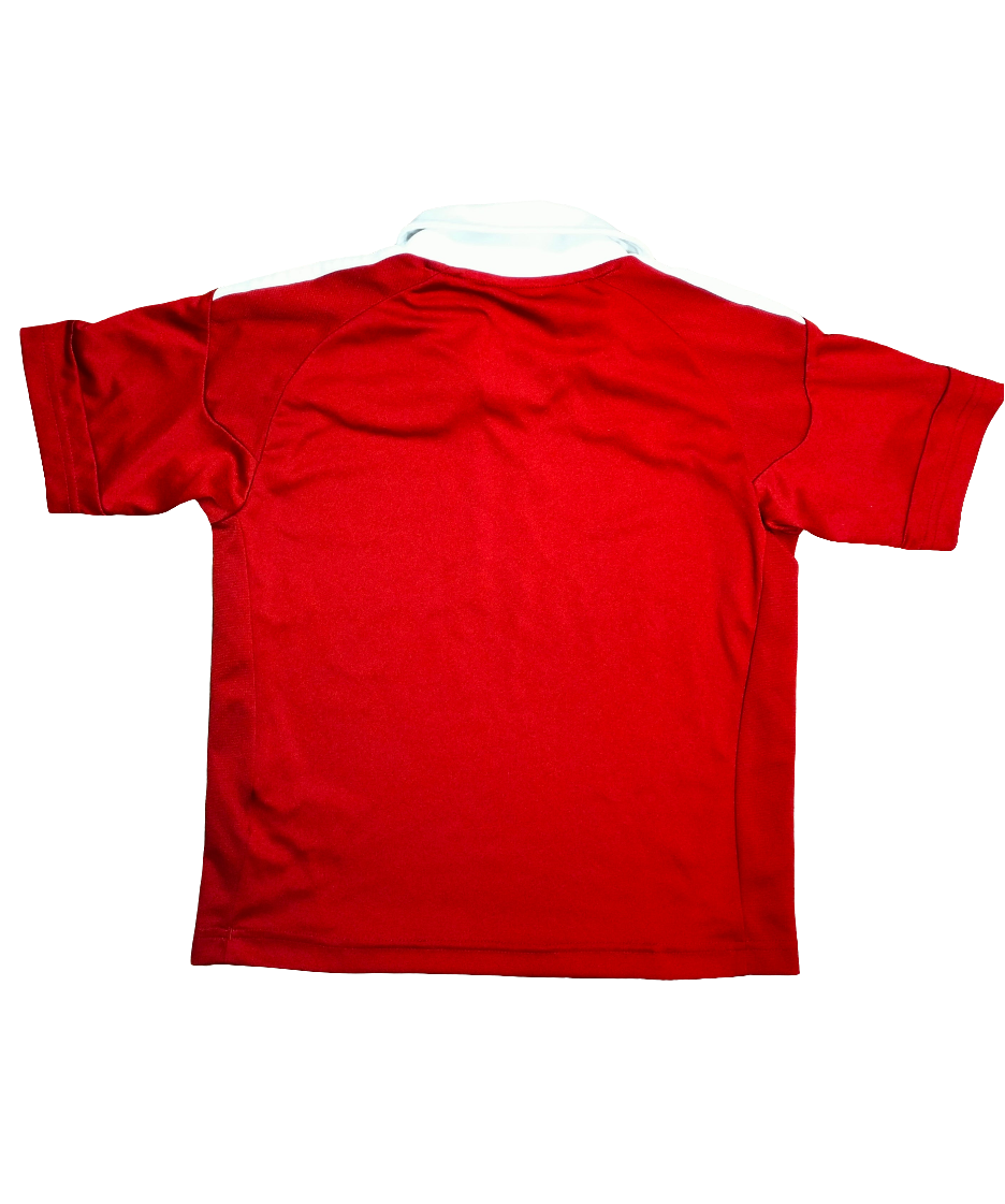 Denmark 2010-2011 Adidas home shirt