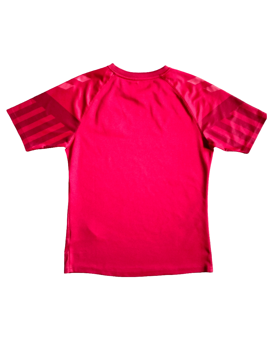 Original Denmark Mundial Quatar 2022 Hummel shirt