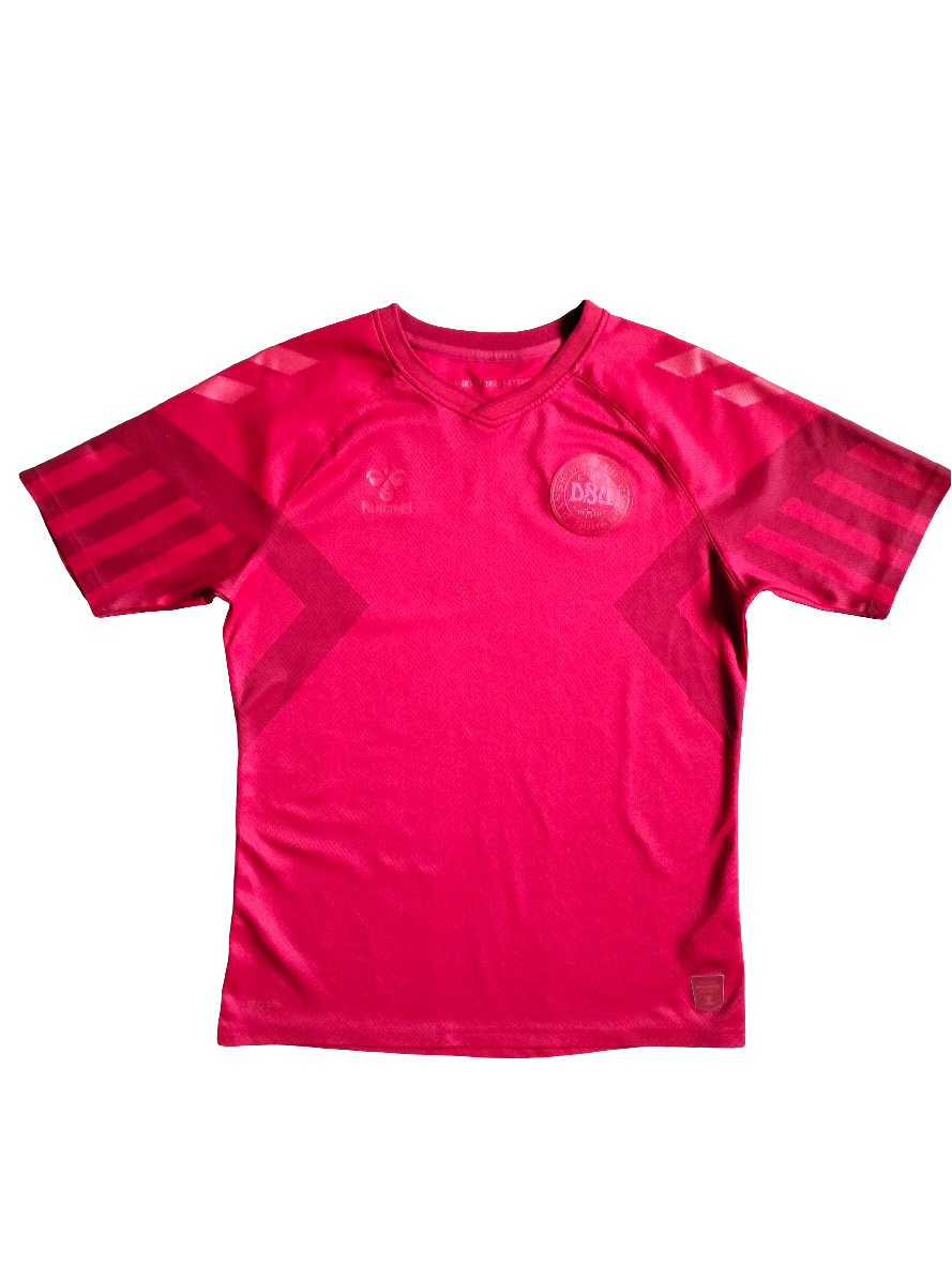 Original Denmark Mundial Quatar 2022 Hummel shirt