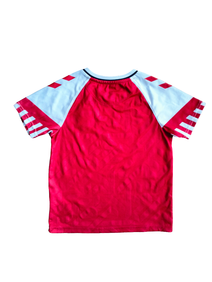Original Denmark Hummel kids shirt