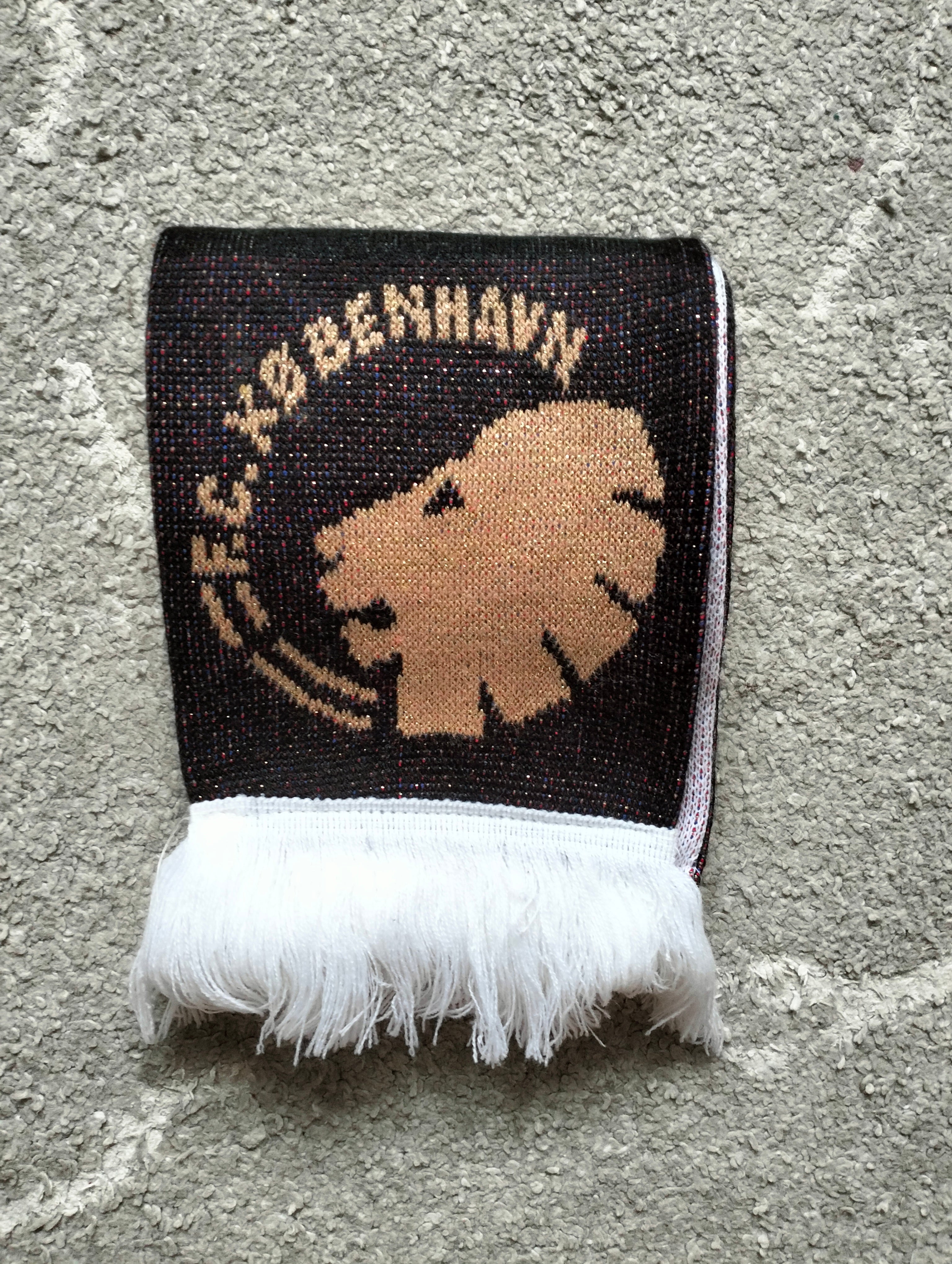 FC Copenhagen København scarf - 2013