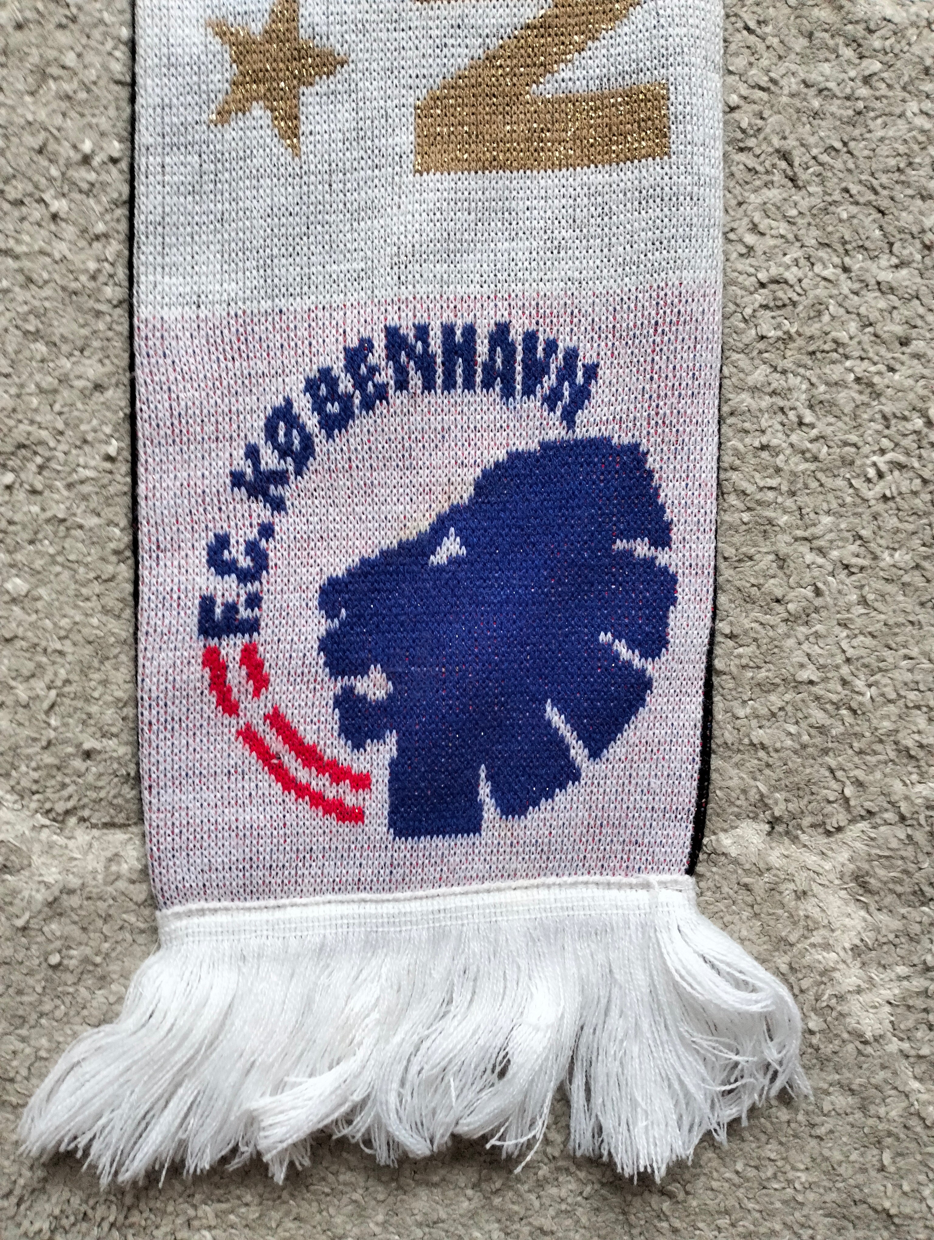 FC Copenhagen København scarf - 2013