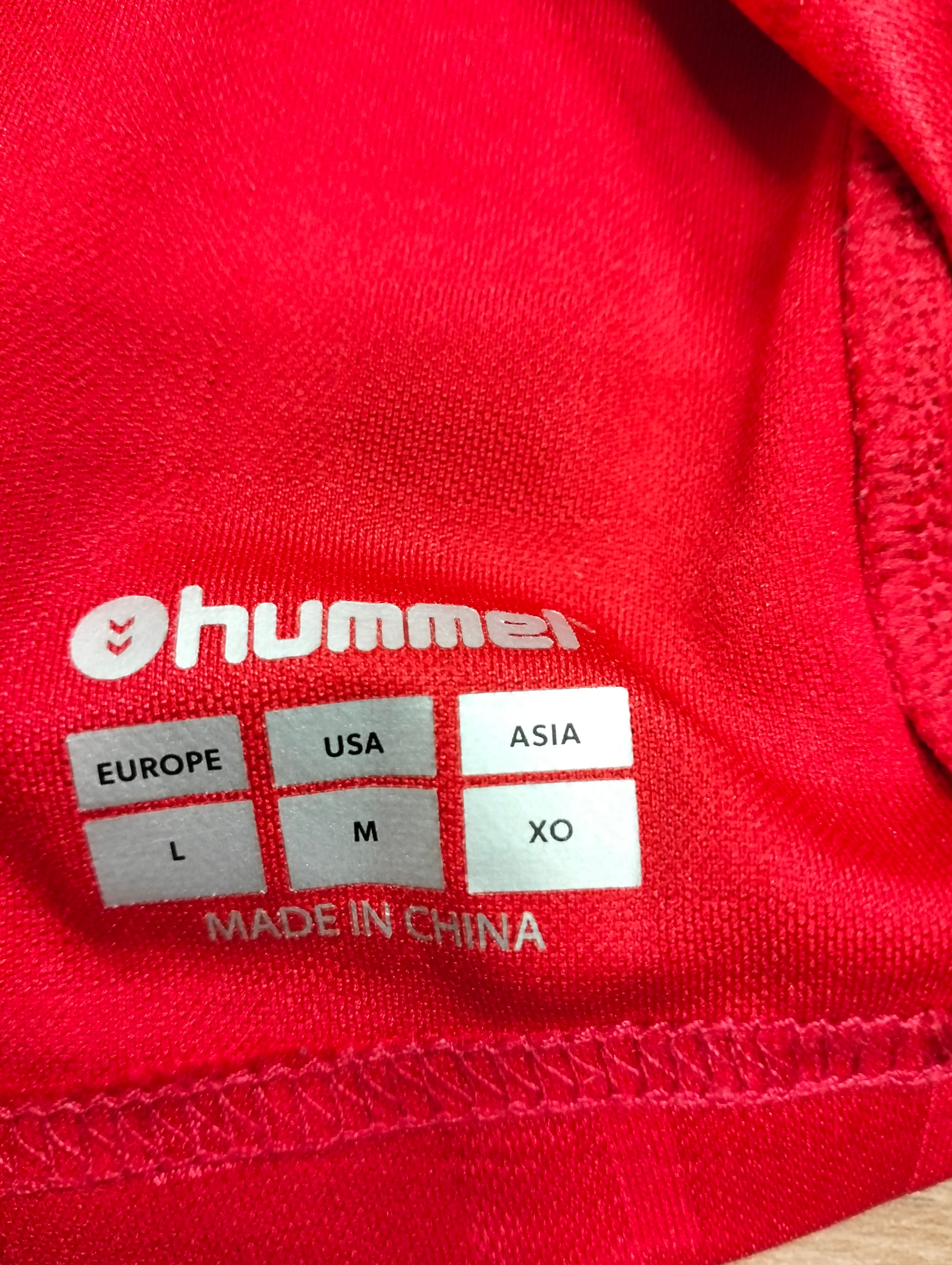 Denmark 2024-25 Hummel home shirt