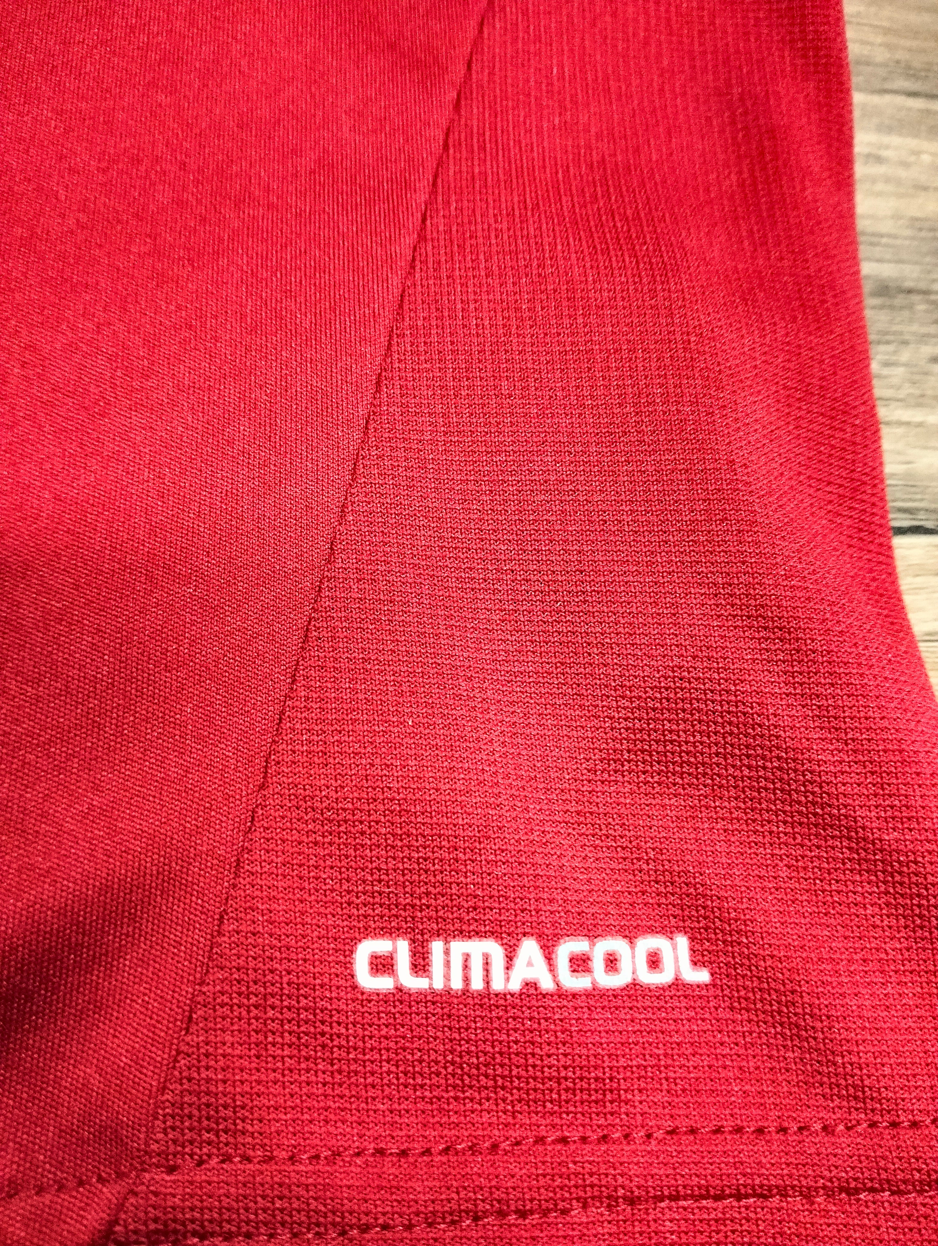 Denmark 2010-2011 Adidas home shirt