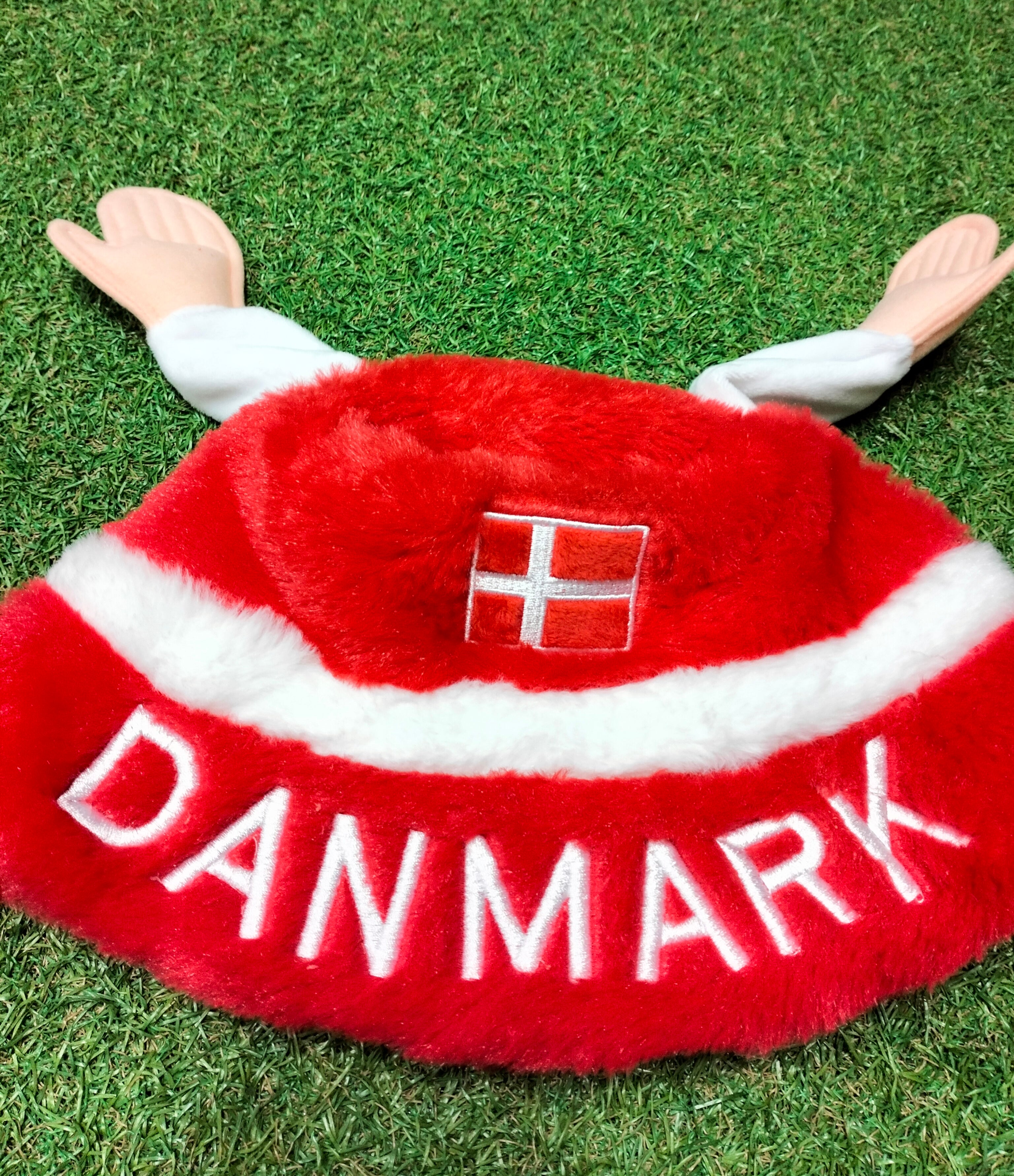 Denmark football fan cap