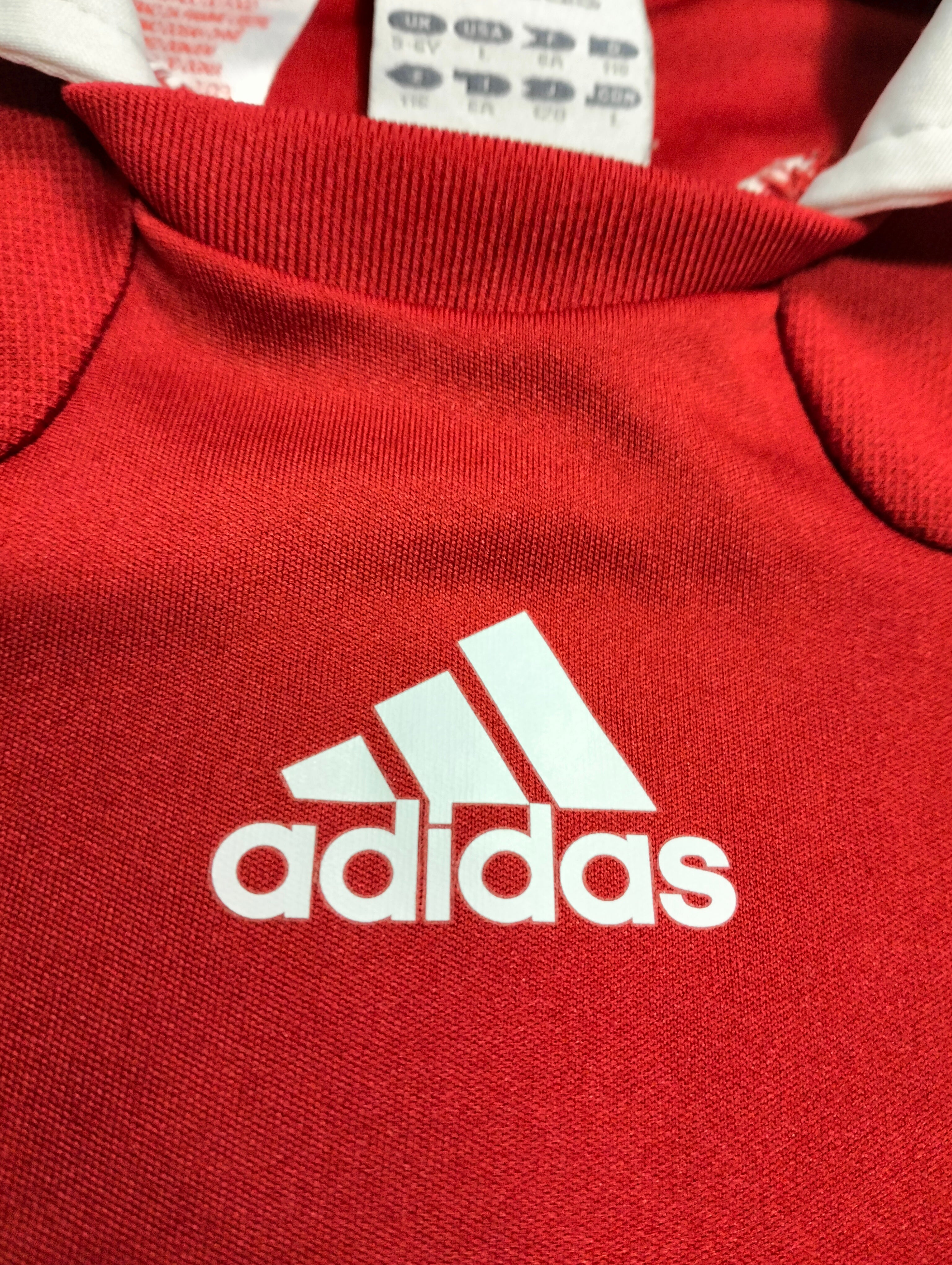 Denmark 2010-2011 Adidas home shirt
